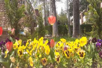 بهار دانشگاه 1399